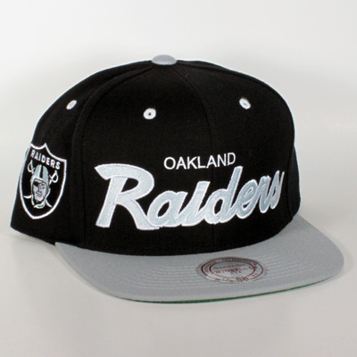mitchell & ness raiders
